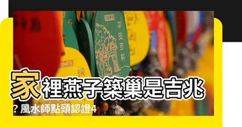 家裡有燕子代表什麼|燕子築巢專挑風水寶地？真相曝光：牠們考量是「這個。